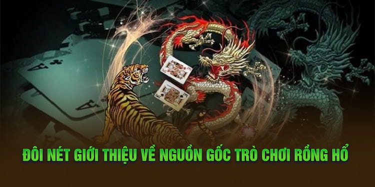 Giới thiệu Rồng Hổ