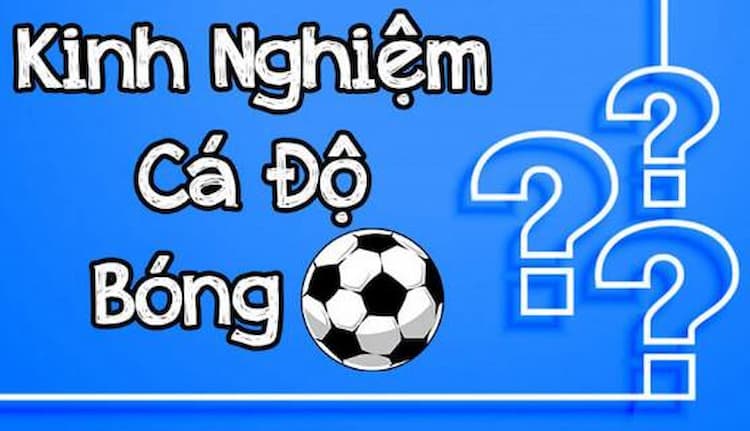 Kinh nghiệm cá độ bóng đá
