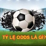 Khái niệm odds