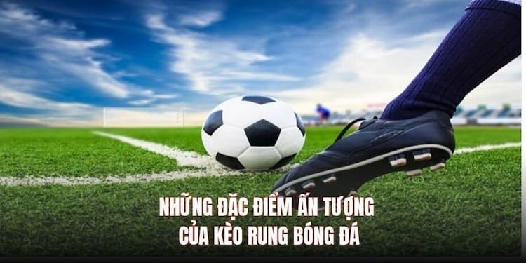 Đặc điểm kèo rung