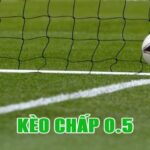 Kèo chấp 0.5 là gì?