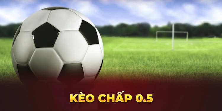 Kèo chấp 0.5 W88